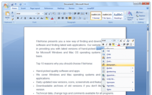 Ms Word 2007