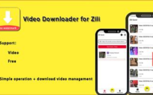 Zili apk 